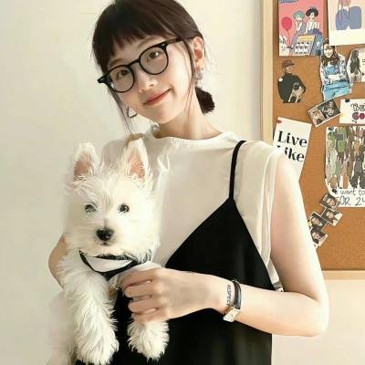 虎豹小霸王前集